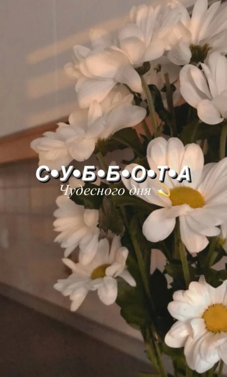 Кадр из поста от 15 августа, 07:20